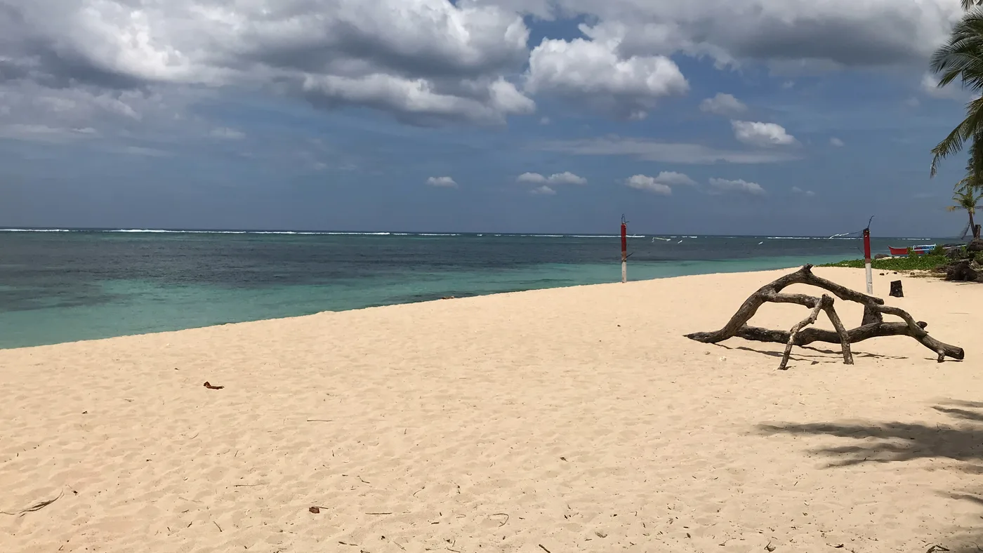 Alegria Beach Siargao with white sand, turquoise waters, driftwood logs and palm trees under cloudy sky